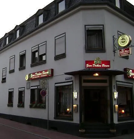 Hotel Zum Dicken Baum