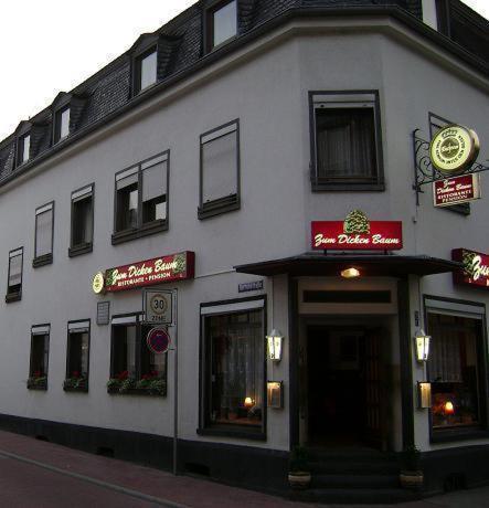 Maison d'hôtes Zum Dicken Baum 2*